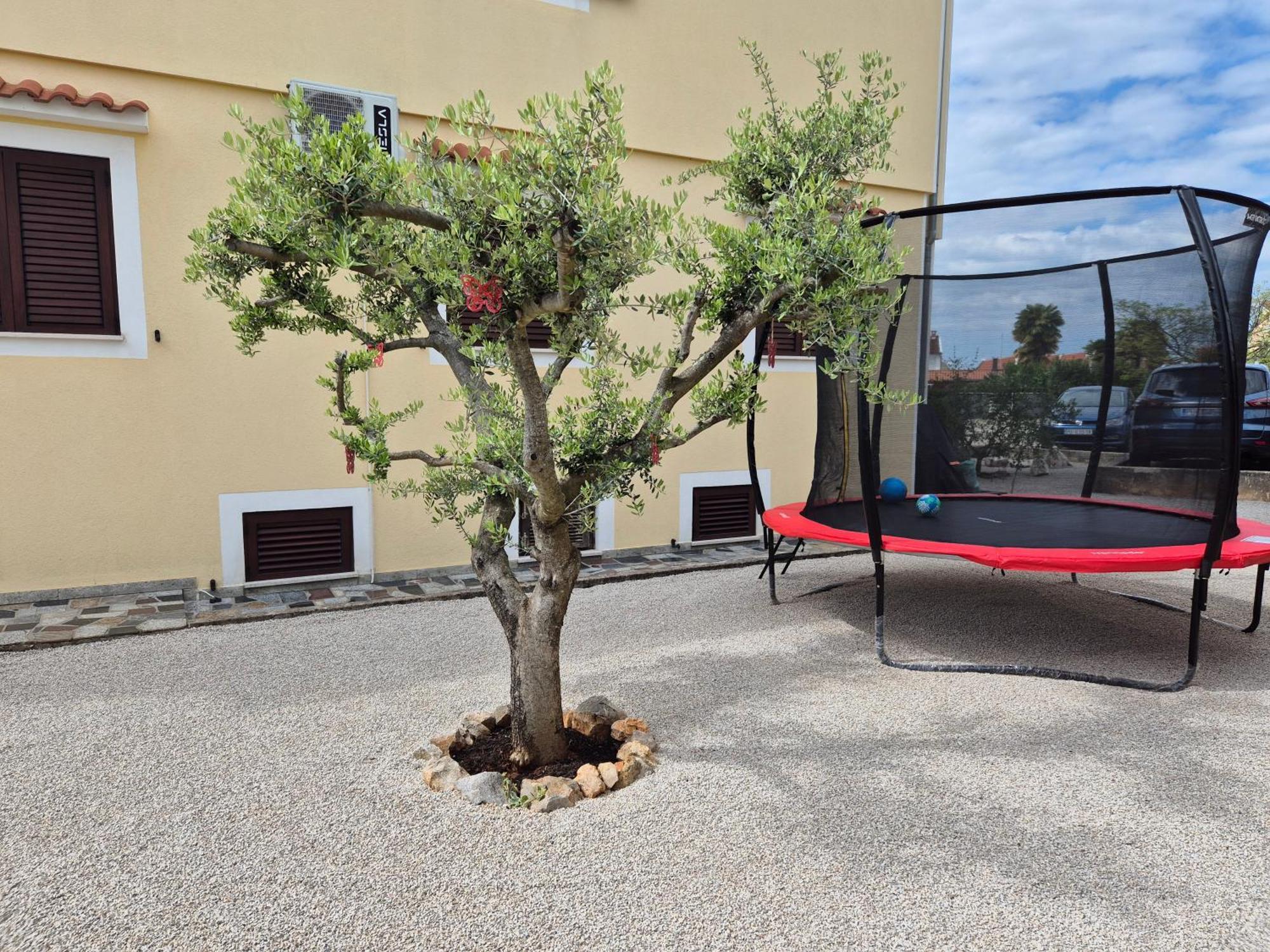 Apartment Vinja Porec - Privat Garden - Whirlpool Poreč Exterior foto